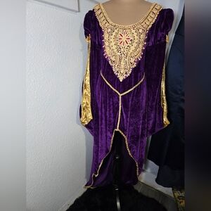 Dreamgirl Deep Purple Velvet Medeival Princess Dress.